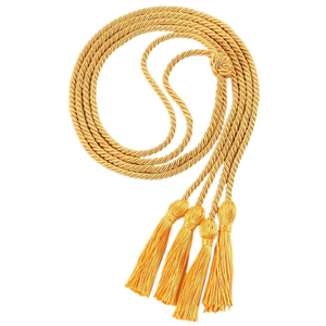 Double Graduation Honor Cord One Color