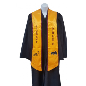 Multiple Colors Available Student Athlete Graduation Stole Sash