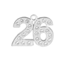 Graduation Year Charm for Graduation Tassels